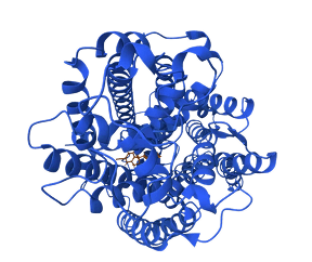 NET