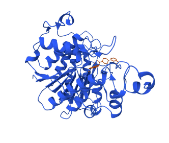 HDAC1