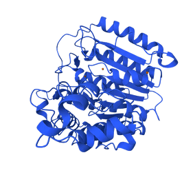 HDAC3