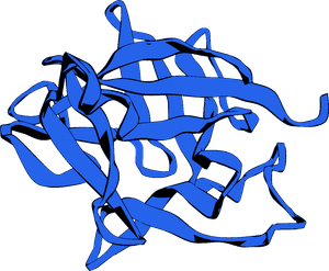 IL-1β